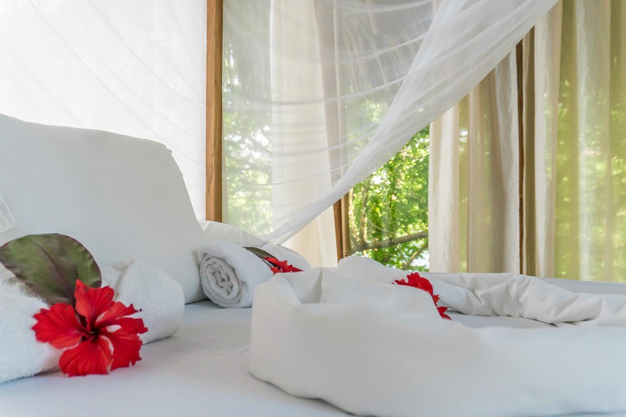 El Pital, Chocolate Paradise Balgue Zewnętrze zdjęcie